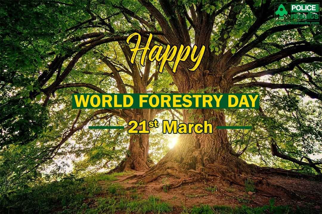 21th March 2024 World Forestry Day HD Photos